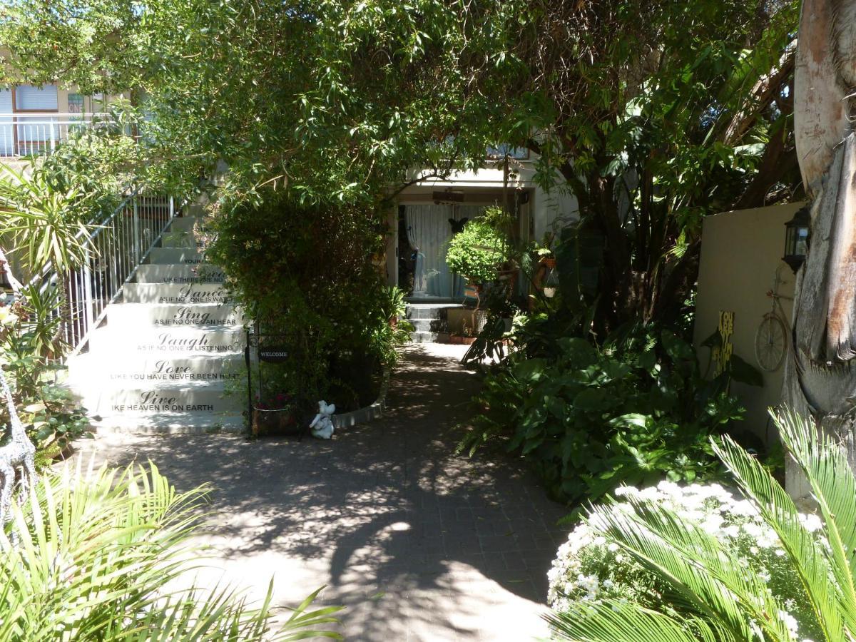 Springbok Apartments エクステリア 写真